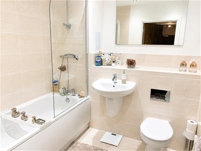 Picture 7